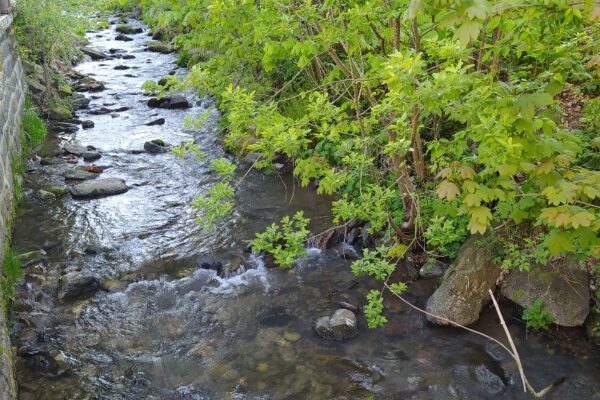 Chalupa Horský Potok - Exterior